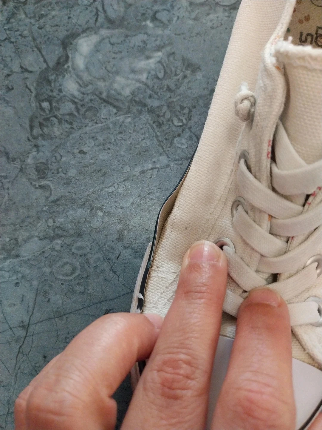 Canvas sneaker Size 33 – photo 9